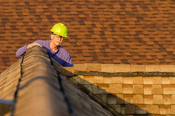Best Roof Maintenance Services  in Harrison, NJ